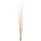 Uniquewise 12 pcs Natural Decorative Dry Branches Authentic Sticks, Home Decoration and Wedding Craft, DIY Greenery Plants Craft Vases fillers Garden Hotel Farmhouse Decor